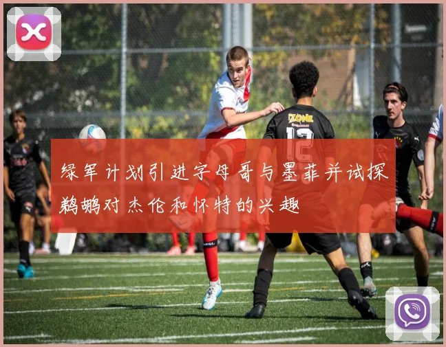 绿军计划引进字母哥与墨菲并试探鹈鹕对杰伦和怀特的兴趣