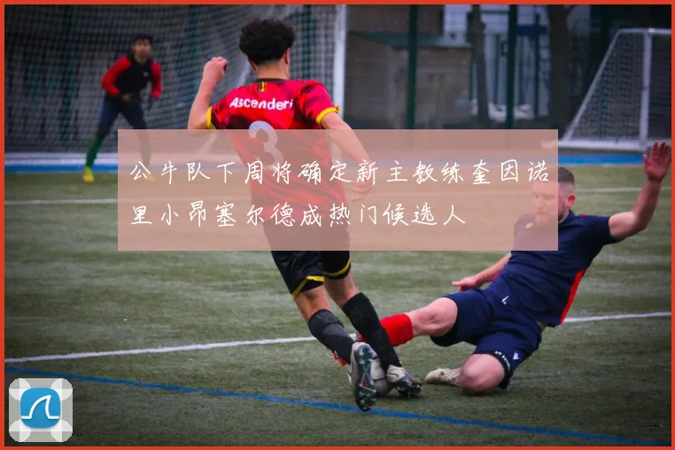 公牛队下周将确定新主教练奎因诺里小昂塞尔德成热门候选人