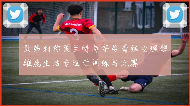 贝弗利称莫兰特与字母哥组合理想雄鹿生活专注于训练与比赛