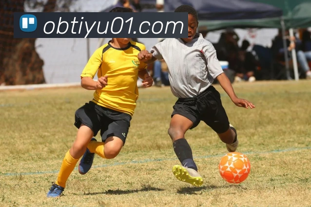 ob体育平台生态图