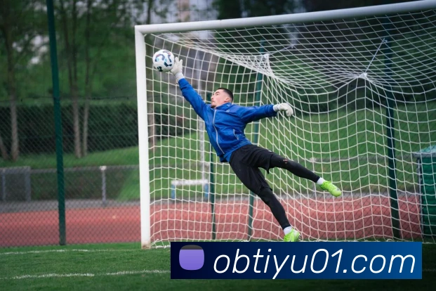 ob体育APP 封面图